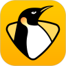 企鹅直播平台安卓版下载