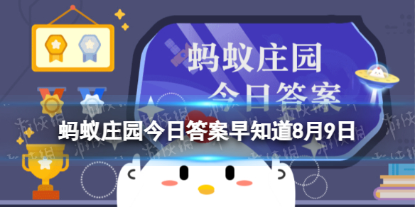 海螺的什么部位最好不要吃 蚂蚁庄园今日答案早知道8月9日