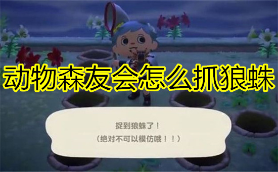 动物森友会怎么抓狼蛛 动物森友会抓狼蛛技巧攻略