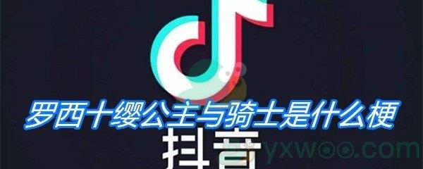 罗西十缨公主与骑士是什么梗-罗西十缨公主与骑士梗介绍