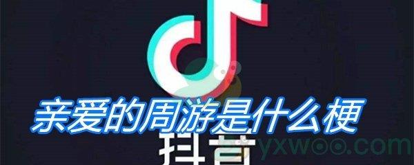 亲爱的周游是什么梗-亲爱的周游梗介绍