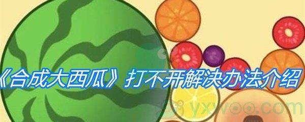 合成大西瓜打不开解决办法介绍-合成大西瓜网页打不开怎么办