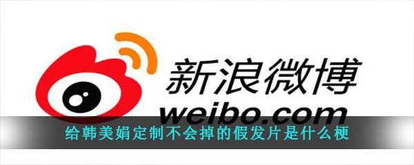 给韩美娟定制不会掉的假发片是什么意思-给韩美娟定制不会掉的假发片是什么梗