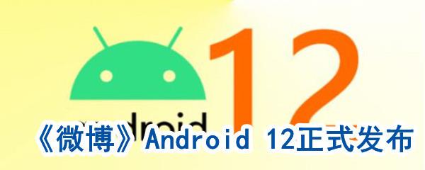 Android12发布时间安卓界面都有哪些裱花-android12全新功能做了什么变化