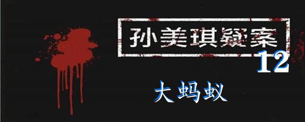 孙美琪疑案12四级线索大蚂蚁位置-孙美琪疑案12四级线索大蚂蚁在哪