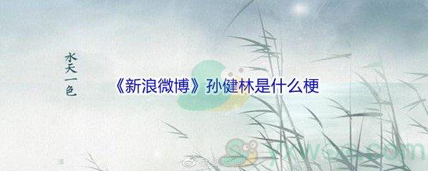 新浪微博孙健林梗的含义及出处介绍-新浪微博孙健林是什么梗