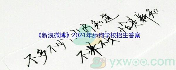 新浪微博2021年舔狗学校招生全国统一考试答案是什么-新浪微博2021年舔狗学校招生全国统一考试答案分享