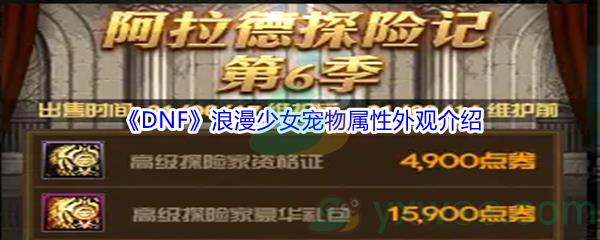 地下城与勇士浪漫少女宠物属性外观怎么样-DNF浪漫少女宠物属性外观介绍