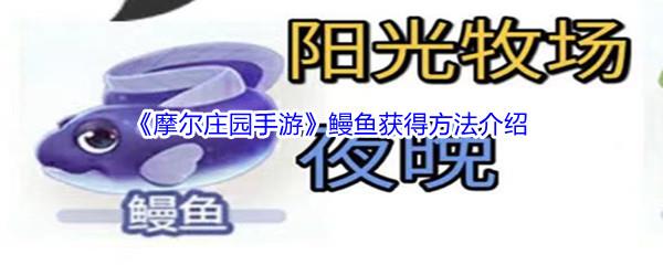 摩尔庄园手游鳗鱼怎么才能获得-摩尔庄园手游鳗鱼获得方法介绍