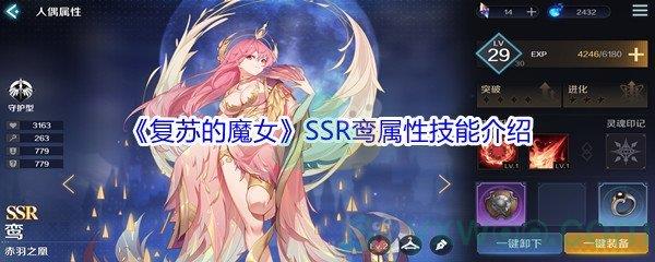 复苏的魔女SSR鸾属性技能怎么样-复苏的魔女SSR鸾属性技能介绍