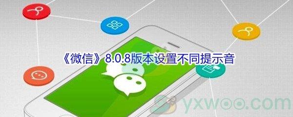 微信8.0.8版本怎么才能设置不同的提示音-微信8.0.8版本设置不同提示音方法介绍