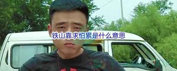 铁山靠求怕累梗含义及出处-铁山靠求怕累是什么意思