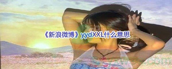 新浪微博yydXXL梗含义及出处-新浪微博yydXXL是什么意思