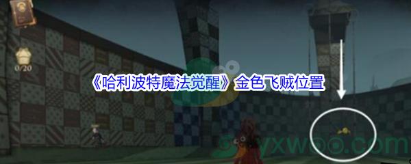 哈利波特魔法觉醒金色飞贼位置在哪里-哈利波特魔法觉醒金色飞贼位置介绍