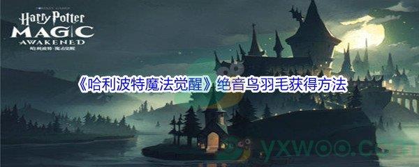 哈利波特魔法觉醒绝音鸟羽毛怎么才能获得呢-哈利波特魔法觉醒绝音鸟羽毛获得方法