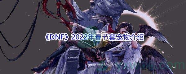 DNF2022年春节套宠物属性怎么样呢-DNF2022年春节套宠物介绍