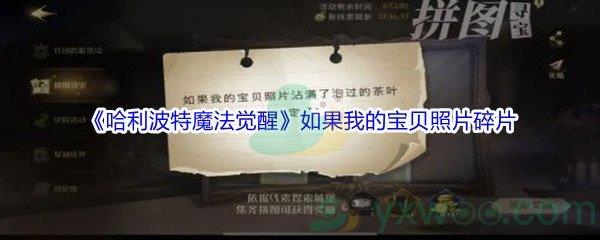 哈利波特魔法觉醒如果我的宝贝照片碎片位置在哪里呢-哈利波特魔法觉醒如果我的宝贝照片碎片位置介绍