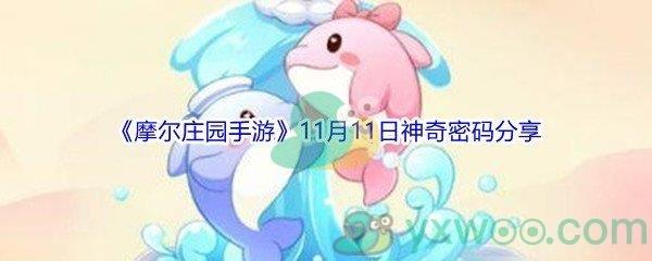 2021摩尔庄园手游11月11日神奇密码是什么呢-2021摩尔庄园手游11月11日神奇密码分享