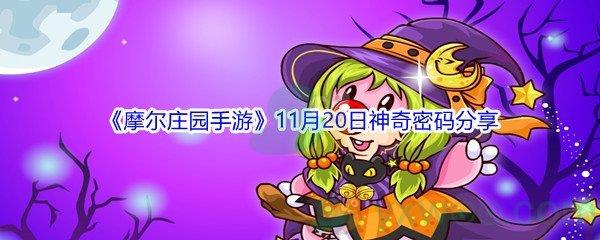 2021摩尔庄园手游11月20日神奇密码是什么呢-2021摩尔庄园手游11月20日神奇密码分享