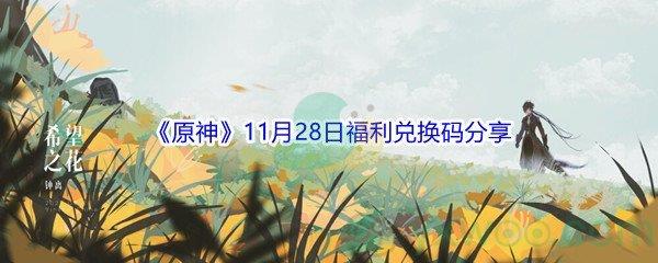 2021原神11月28日福利兑换码都有哪些呢-2021原神11月28日福利兑换码分享