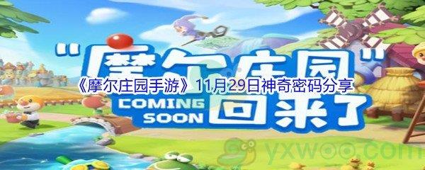 2021摩尔庄园手游11月29日神奇密码是什么呢-2021摩尔庄园手游11月29日神奇密码分享