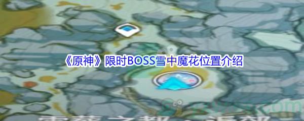 原神限时BOSS雪中魔花位置在哪里呢-原神限时BOSS雪中魔花位置介绍