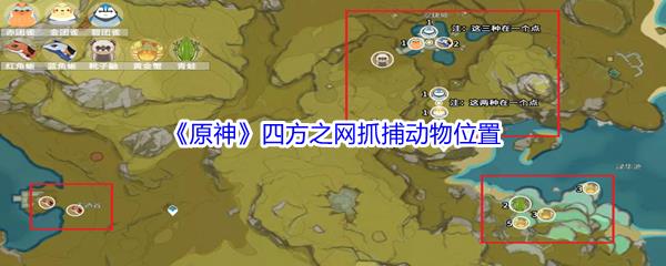 原神四方之网抓捕动物位置在哪里呢-原神四方之网抓捕动物位置介绍