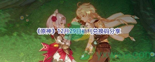 2021原神12月29日福利兑换码是什么呢-2021原神12月29日福利兑换码分享