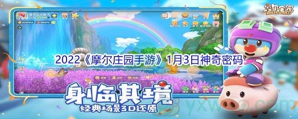 2022摩尔庄园手游1月3日神奇密码都有哪些呢-2022摩尔庄园手游1月3日神奇密码分享