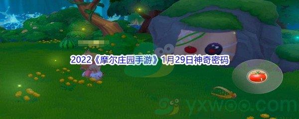 2022摩尔庄园手游1月29日神奇密码都有哪些呢-2022摩尔庄园手游1月29日神奇密码分享