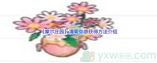 摩尔庄园清菊弥意怎么才能获得呢-摩尔庄园清菊弥意获得方法介绍