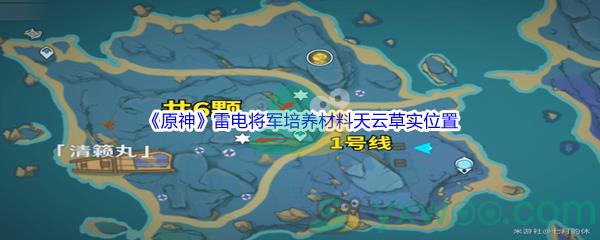 原神雷电将军培养材料天云草实采集位置在哪里呢-原神雷电将军培养材料天云草实采集位置介绍