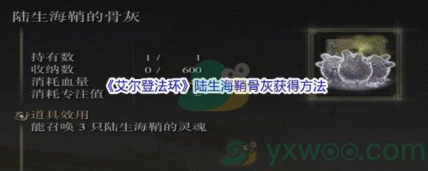 艾尔登法环陆生海鞘骨灰怎么才能获得呢-艾尔登法环陆生海鞘骨灰获得方法介绍