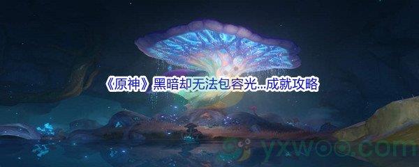 原神黑暗却无法包容光...成就怎么才能完成呢-原神黑暗却无法包容光...成就完成攻略