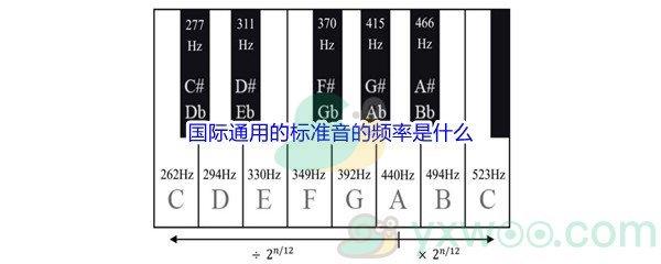 哔哩哔哩国际通用的标准音的频率是什么呢-哔哩哔哩b站硬核会员答案分享