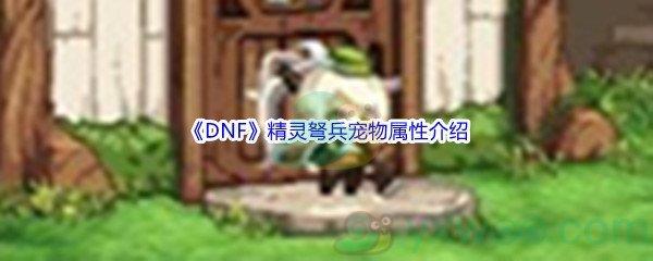 地下城与勇士DNF精灵弩兵宠物属性怎么样呢-DNF精灵弩兵宠物属性介绍