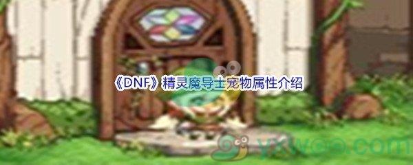 地下城与勇士DNF精灵魔导士宠物属性怎么样呢-DNF精灵魔导士宠物属性介绍