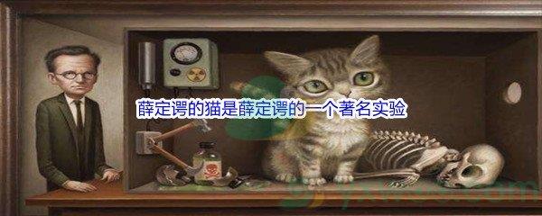 哔哩哔哩薛定谔的猫是薛定谔的一个著名实验,其不涉及的问题是什么呢-哔哩哔哩b站硬核会员答案分享