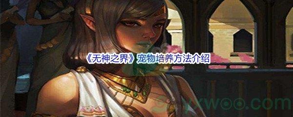 无神之界宠物怎么进行培养呢-无神之界宠物培养方法介绍