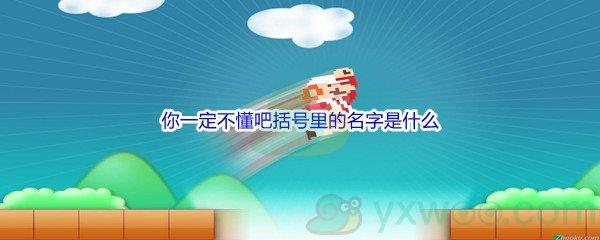 哔哩哔哩你一定不懂吧括号里的名字是什么呢-哔哩哔哩b站硬核会员答案分享