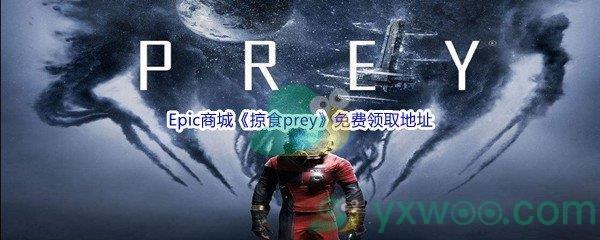 2022年Epic商城5月12日掠食prey怎么才能免费领取呢-Epic商城5月12日掠食prey免费领取地址