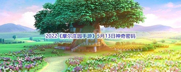 2022摩尔庄园手游5月13日神奇密码是什么呢-2022摩尔庄园手游5月13日神奇密码分享