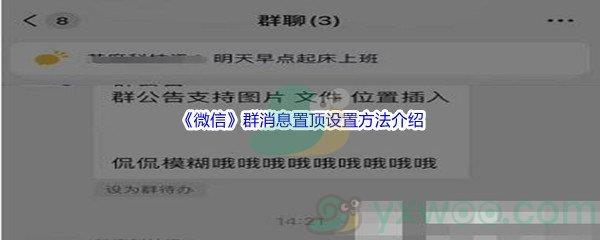 微信群消息置顶怎么进行设置呢-微信群消息置顶设置方法介绍