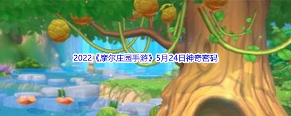 2022摩尔庄园手游5月24日神奇密码是什么呢-2022摩尔庄园手游5月24日神奇密码分享