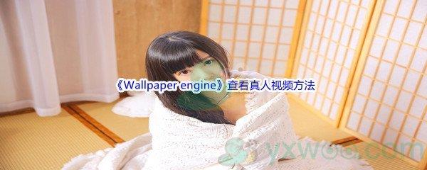 Wallpaper engine怎么才能查看真人小视频呢-Wallpaper engine查看真人小视频方法介绍