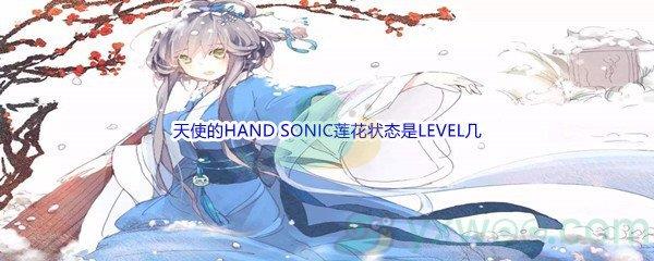 哔哩哔哩ANGEL BEATS里天使的HAND SONIC莲花状态是LEVEL几呢-哔哩哔哩b站硬核会员答案分享