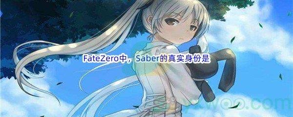 哔哩哔哩FateZero中,Saber的真实身份是谁呢-哔哩哔哩b站硬核会员答案分享