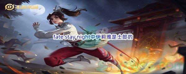 哔哩哔哩fate stay night中伊莉雅是士郎的什么呢-哔哩哔哩b站硬核会员答案分享