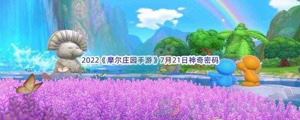 2022摩尔庄园手游7月21日神奇密码是什么呢-2022摩尔庄园手游7月21日神奇密码分享