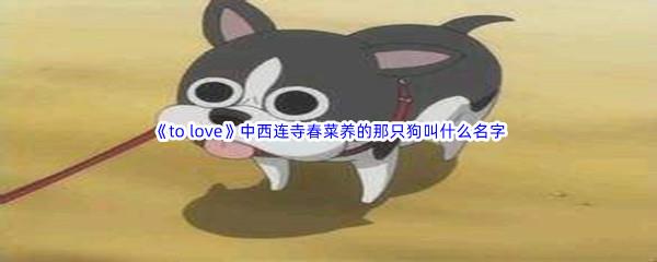 哔哩哔哩to love中西连寺春菜养的那只狗叫什么名字?呢-哔哩哔哩b站硬核会员答案分享